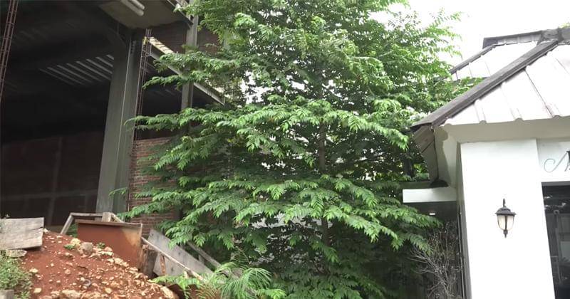 Youtube.com/Baim Paula